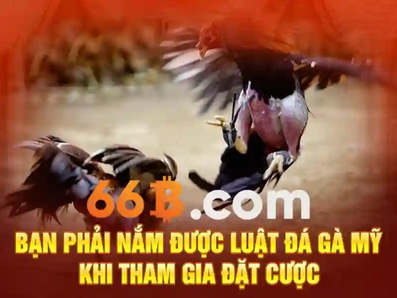 Khám Phá Sòng Bài 66B