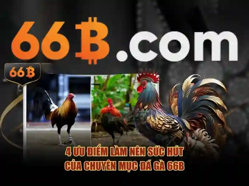 66B - Trải Nghiệm Cá Cược Slot Đỉnh Cao, Đăng Nhập 66B Ngay Hôm Nay 2026