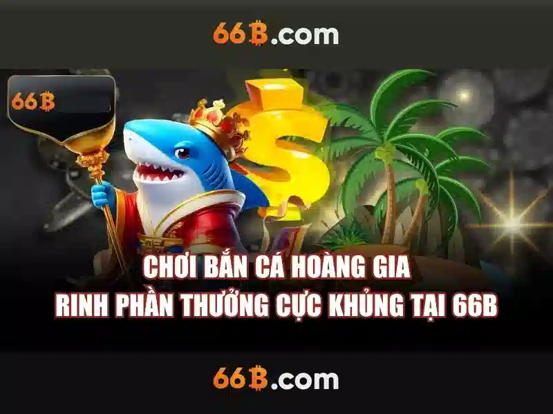 Tính Năng Ứng Dụng 66B