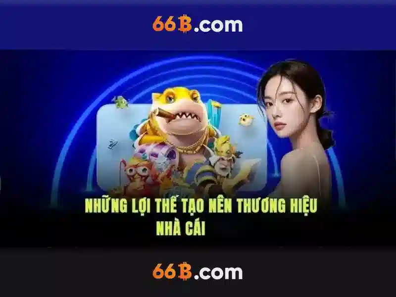Tại Sao Nên Chọn 66B