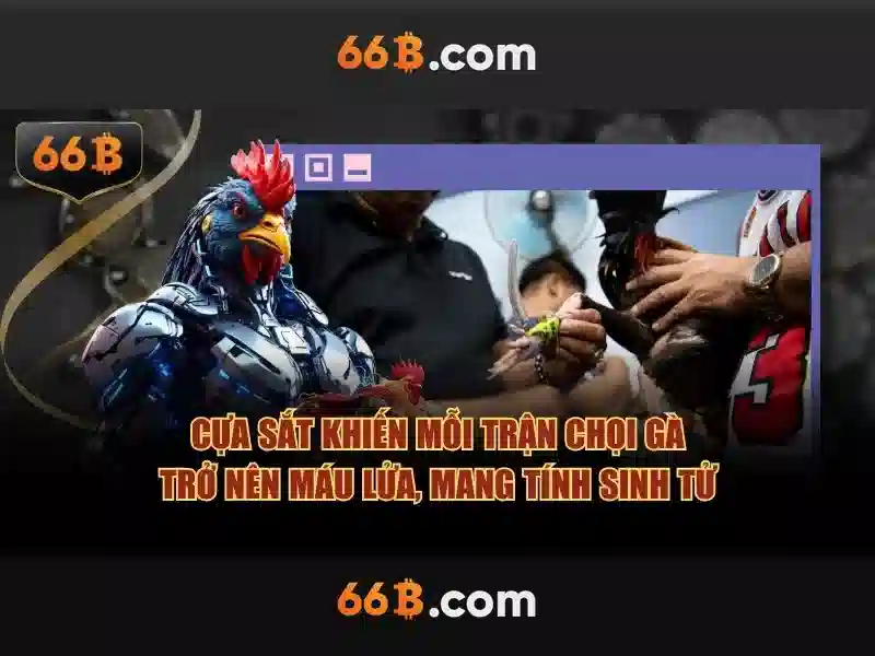 Ưu Điểm 66b Free Chip