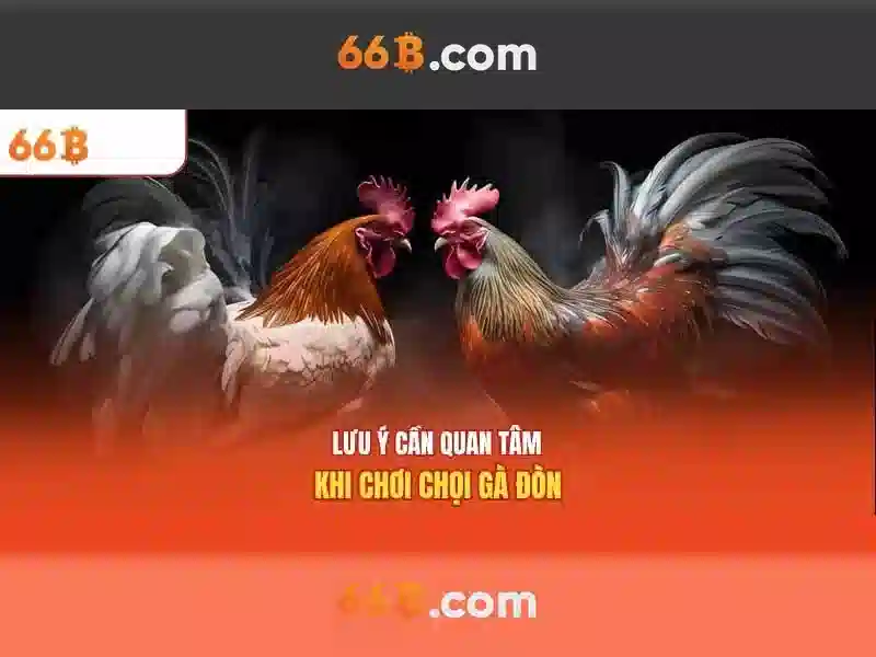 66B Slot Ưu Đãi