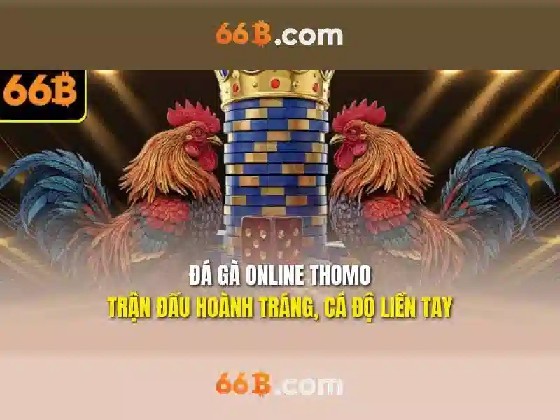 Khám Phá 66B