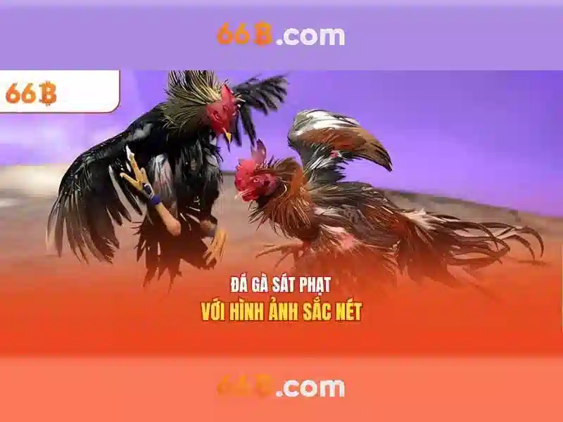 Hướng dẫn đăng nhập 66B