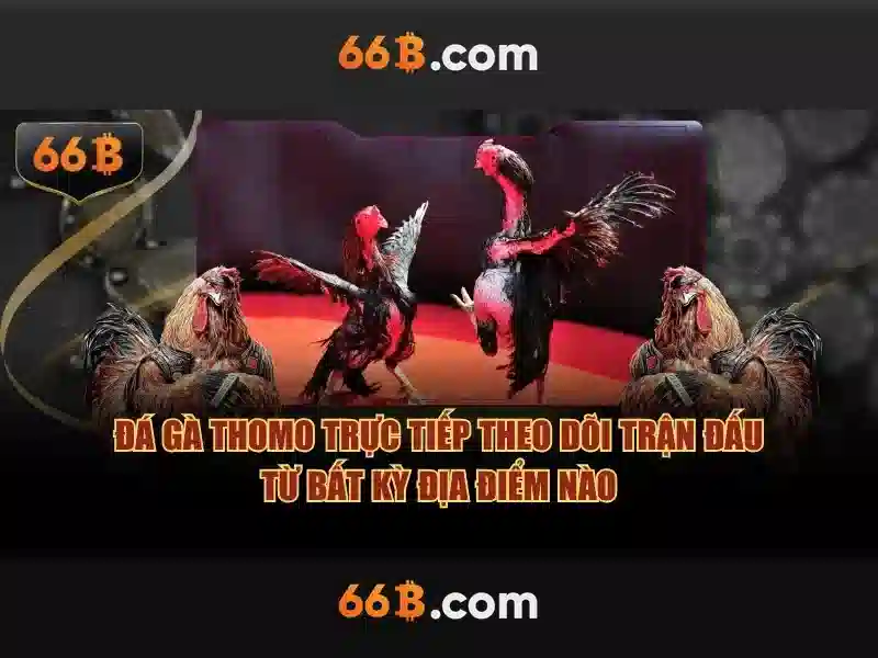 Ưu Đãi 66B