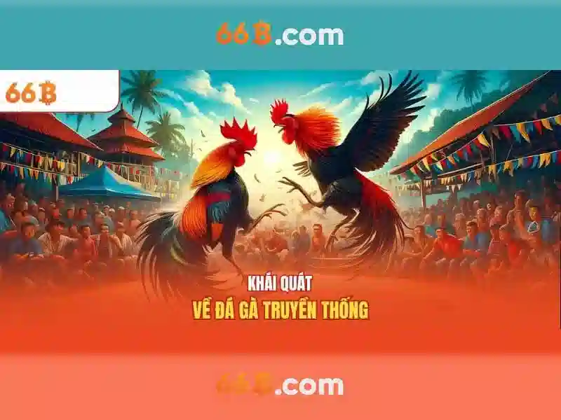 Ưu Đãi Đặc Biệt Cho Thành Viên 66B