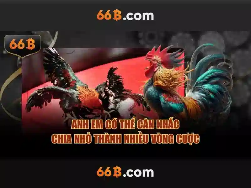 Ưu Đãi Slot