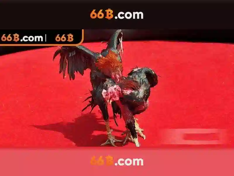 Đa dạng trò chơi Slot