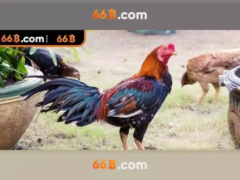 Trải Nghiệm Slot Đỉnh Cao Với 66B Chính Thức
