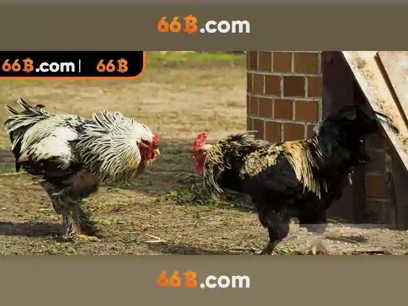 nạp rút tiền 66b