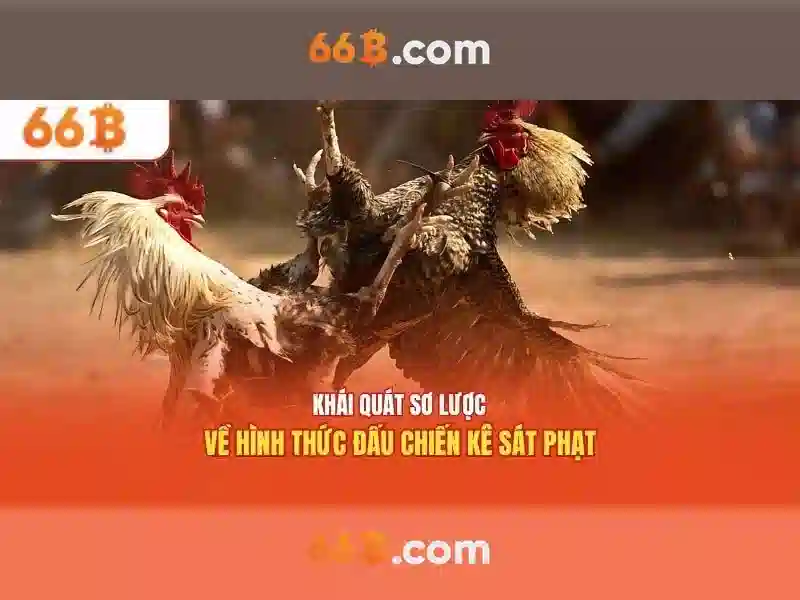 Hướng dẫn chơi Slot 66B APK