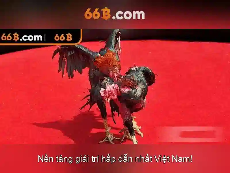 66B App – Ứng Dụng Slot, Casino, Xổ Số, Thể Thao Đỉnh Cao