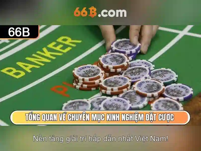 Giới Thiệu 66B