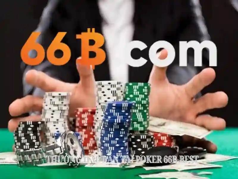 Ưu Đãi Đặc Biệt Cho Thành Viên 66B