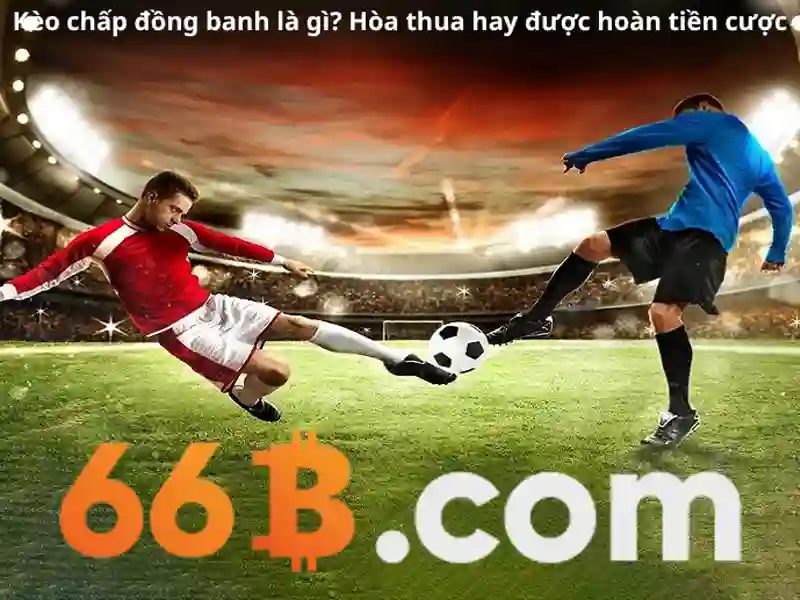 66B Android – Trang Chủ 66B | Slot, Casino, Thể Thao, Xổ Số
