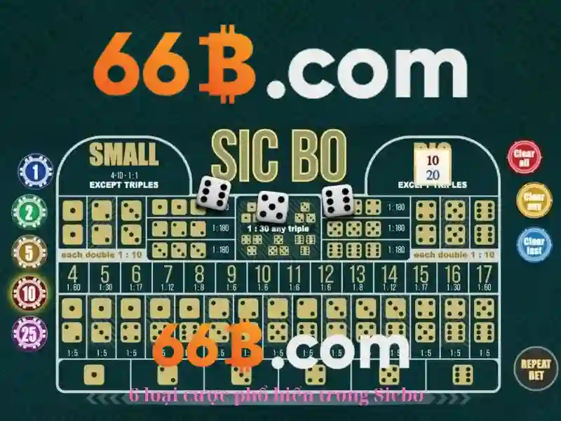 Slot 66B