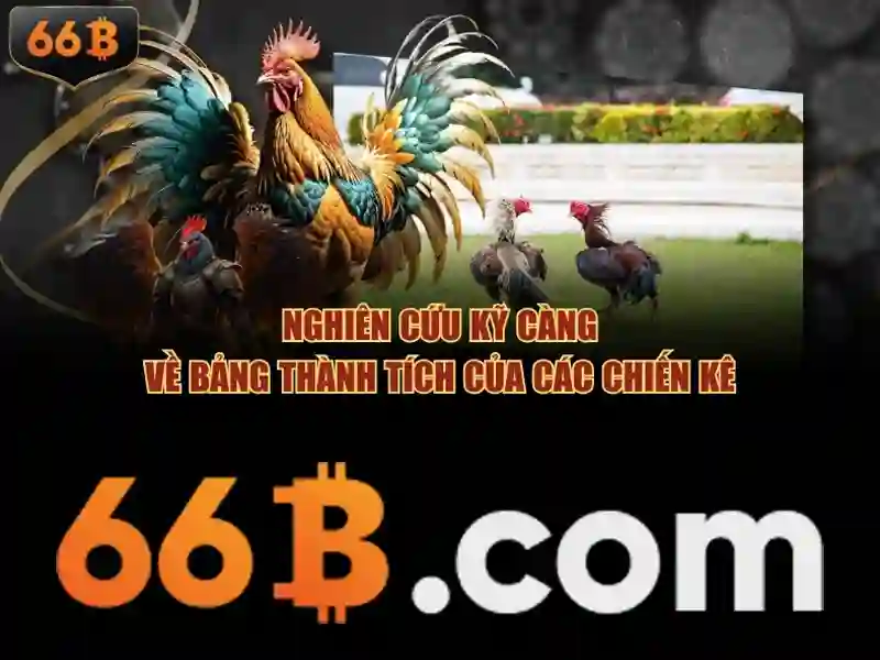 66B – Bí Quyết Chiến Thắng Với 66b Triều Khúc 2026