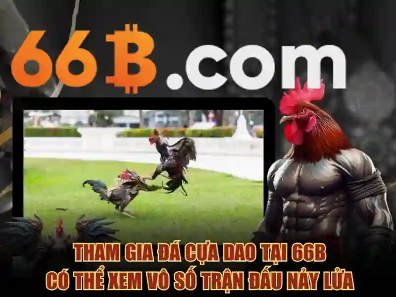 Phân tích kèo Slot 66B
