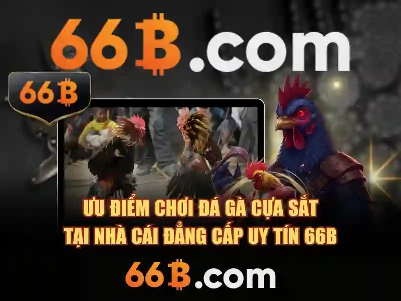 Tại Sao Chọn Giao Dịch 66B